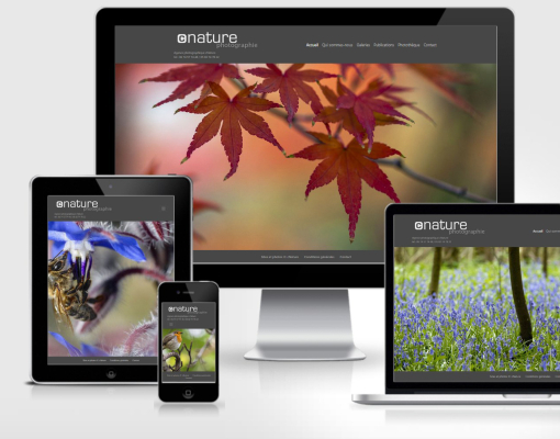 Site Wordpress cnature.fr et photothèque en ligne