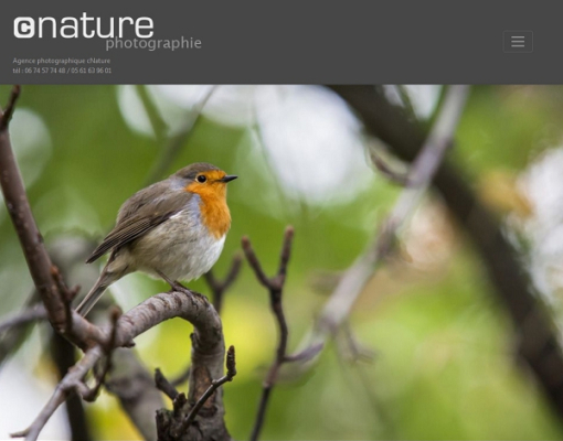 Site internet Wordpress de cNature.fr