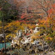 Image ID: 1000